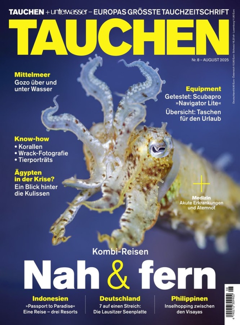 tauchen